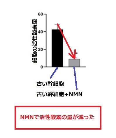 NMNは活性酸素を減らす