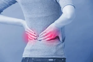 NMNと腎臓病の研究